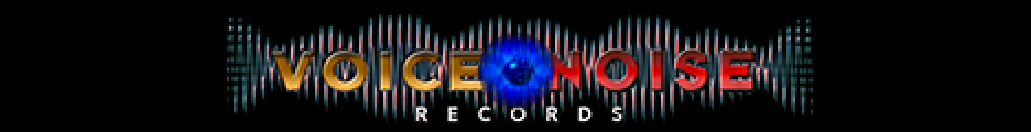 voicenoise.com